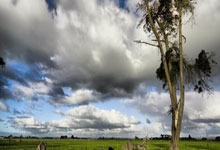 开云体育app-汗水铸就荣光：墨西哥巨人里卡多·门多萨的惊天逆转之路