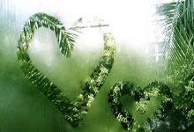 开云体育APP下载-赤道骄阳破冰之旅：非洲军团如何撕裂百年奖牌垄断