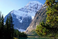 开云体育app-蒙特雷主场迎战鹿岛鹿角，锋线火力引爆看点