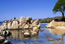 开云官网-荷兰铁骑剑挑巴黎巨舰！阿贾克斯王子公园上演欧冠史诗