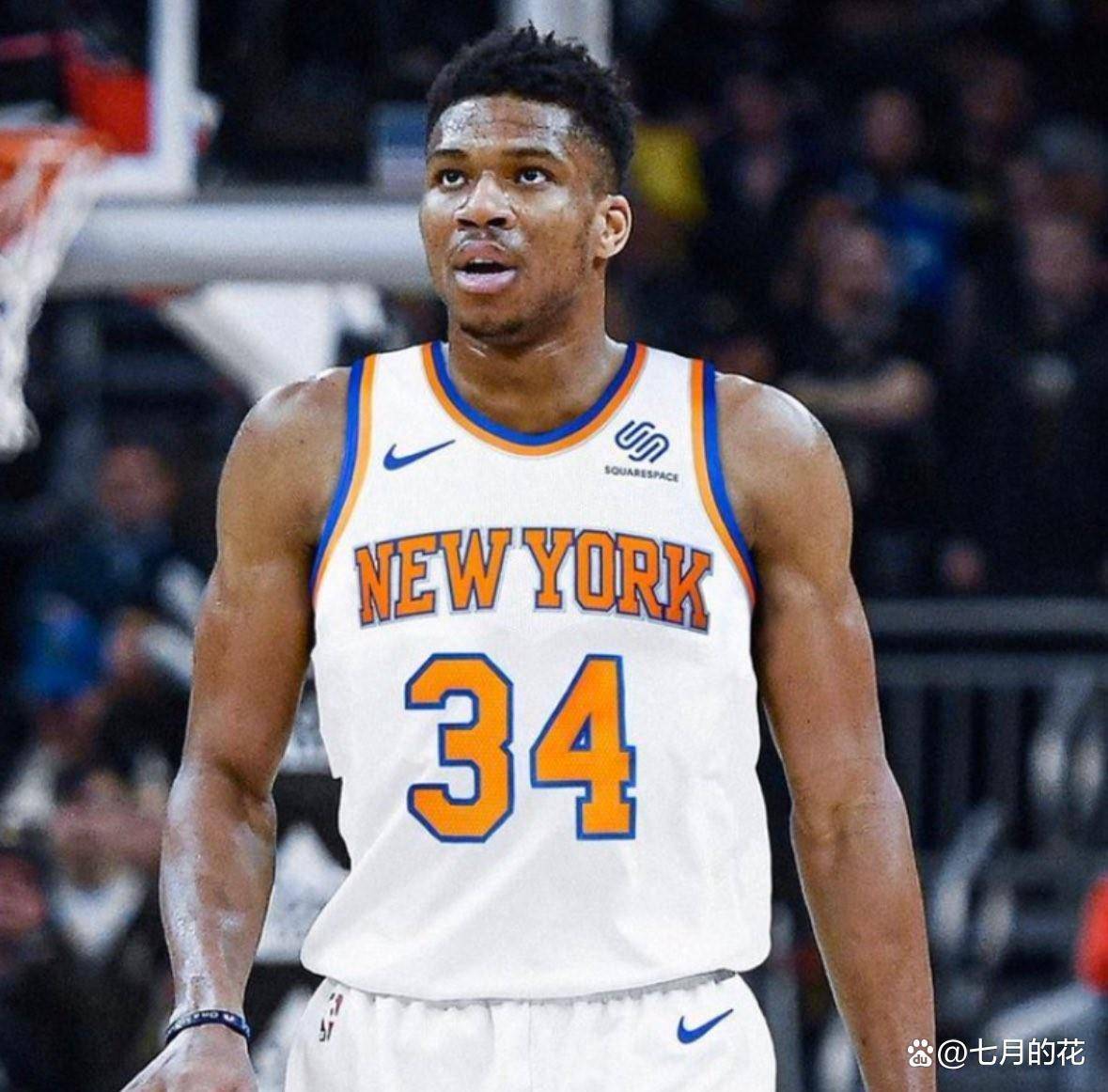 开云平台-尼克斯队年轻球员逐渐崭露头角的简单介绍