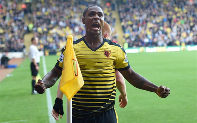 沃特福德惨遭逆转,保级前景蒙上阴影的简单介绍 沃特福德惨遭逆转,保级前景蒙上阴影的简单介绍