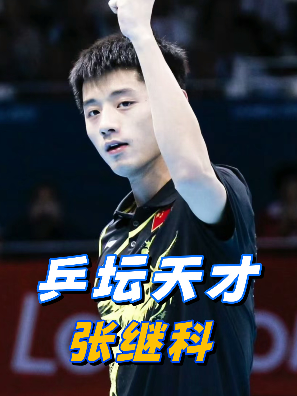 开云体育APP下载-波兰乒乓球队险胜法国乒乓球队,张继科惊艳世界的简单介绍