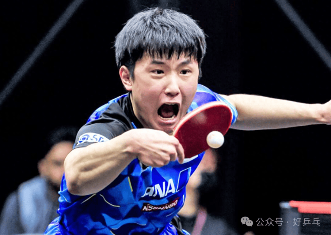 开云体育登录-葡萄牙队绝杀瑞典队,张本智和关键制胜