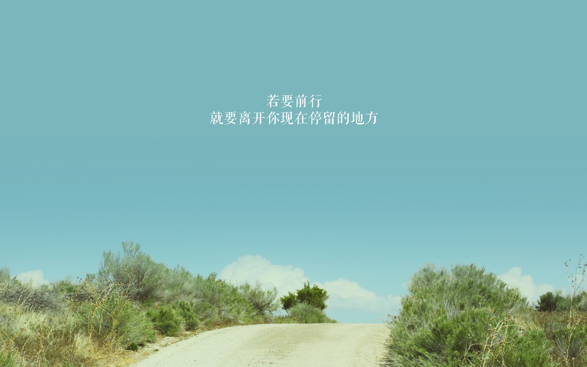 同一轮圆月下,从国家德比的喧嚣到鹈鹕与上海的低语