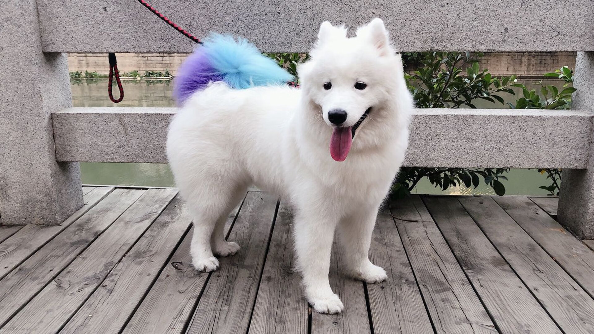 焦点之夜，教科书，巴尔韦德如何用全能定义现代中场新高度