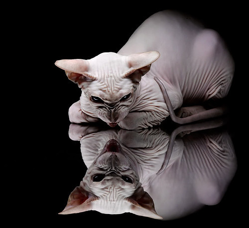 奥运前哨战,76人血肉磨盘冲垮雄鹿,关键战役背后的多重博弈