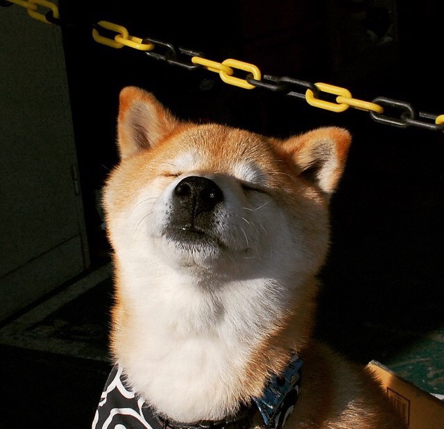 开云体育官方网站-莫兰特末节19分上演熊出没，灰熊青年军撕碎开拓者防线