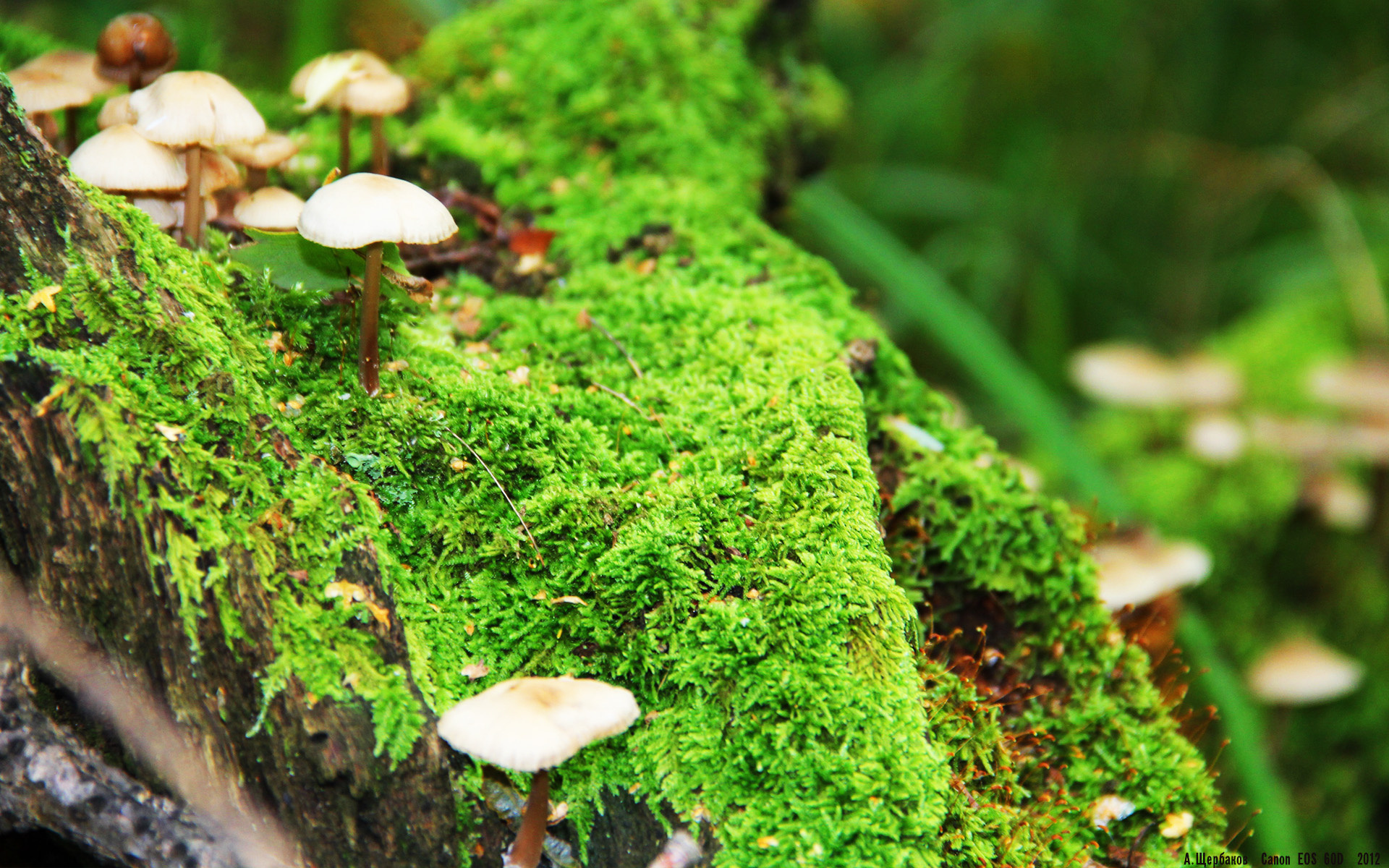 开云官网-东方鏖战与金色传奇，当中国本泽马在亚特兰大抢七时刻登场