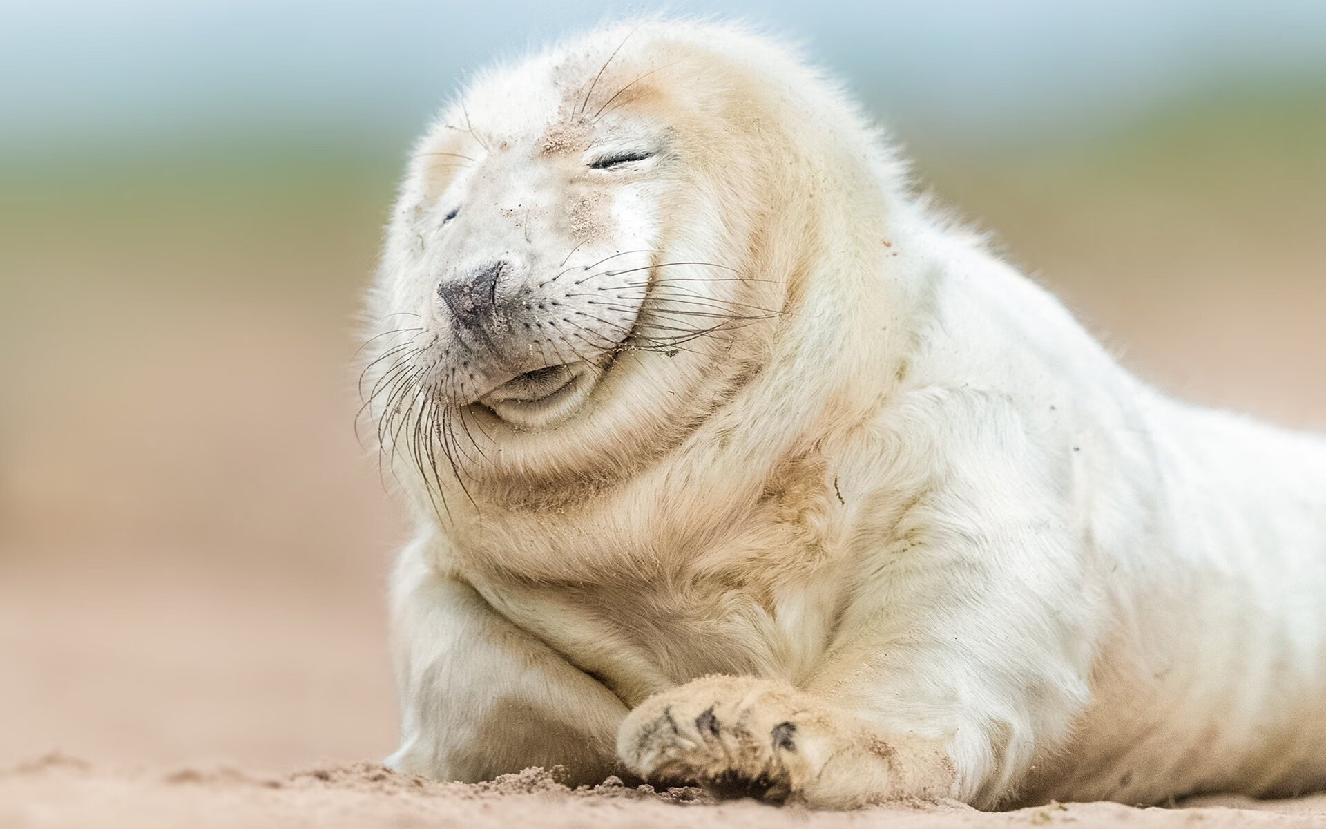 开云体育入口-约基奇导演惊天逆转！山西队末节掀翻老鹰，欧洲魔术师一手掌控比赛走势