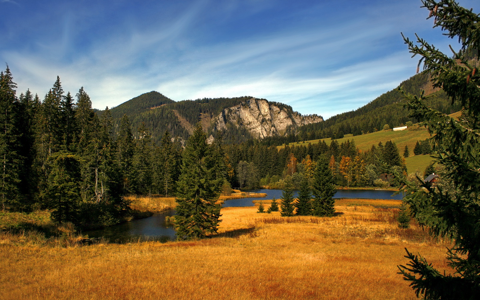 开云体育中国-西决生死战焦点战，魔术队强势粉碎北京队，跨界对决震撼篮坛