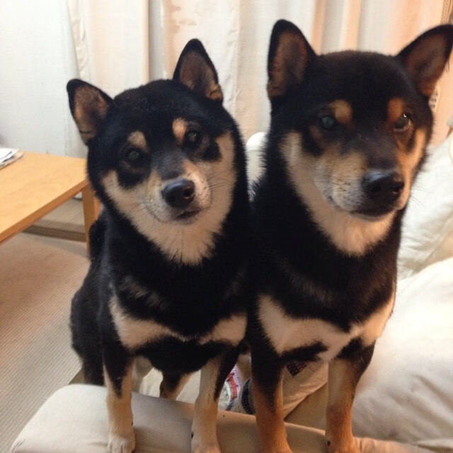 开云官网-山西队上演惊天逆转，恩比德狂轰49分25板刷新纪录