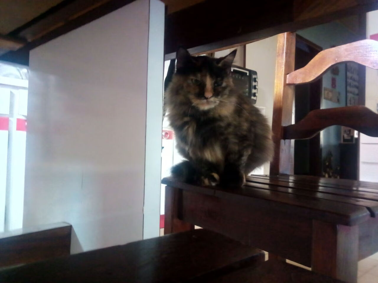 足球小国惊天逆转，伊拉克绝杀德国，奥亚尔萨瓦尔化身救世主