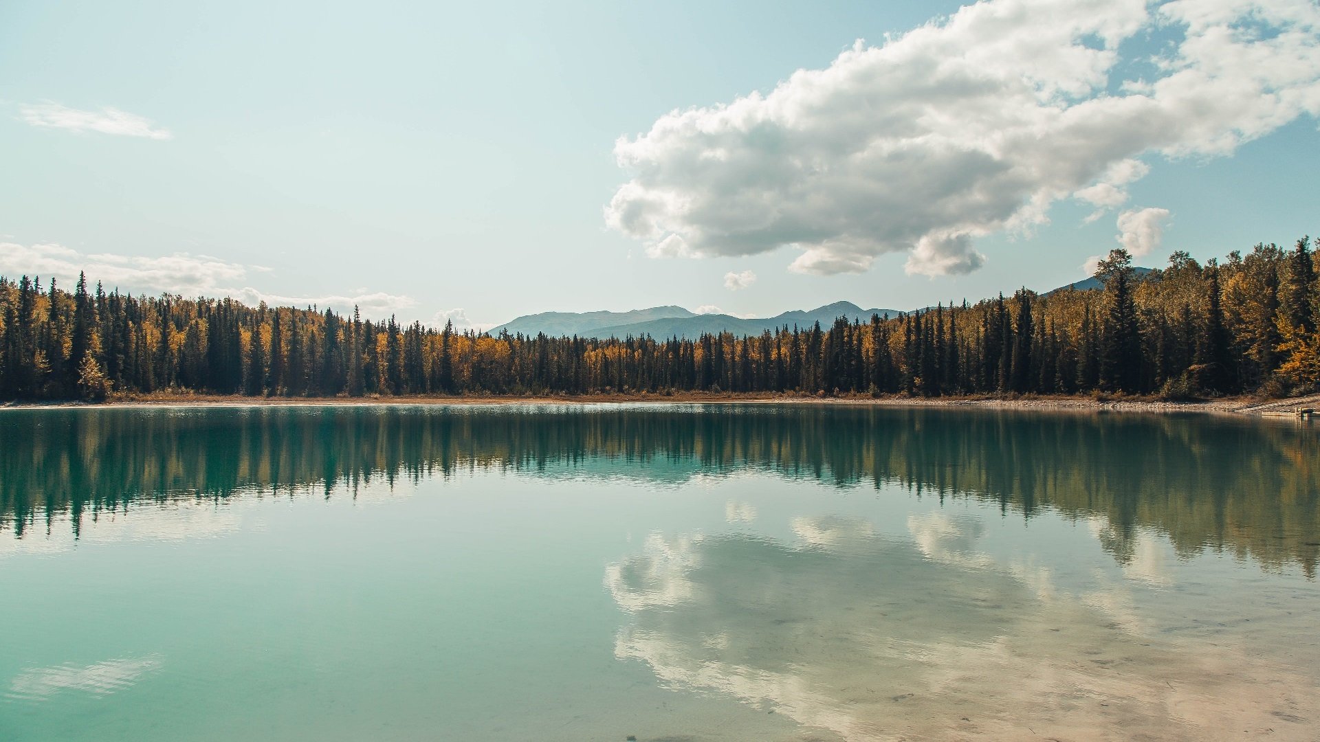 深圳拼尽全力虽败犹荣！锡安关键回合一剑封喉，诠释巨星本色
