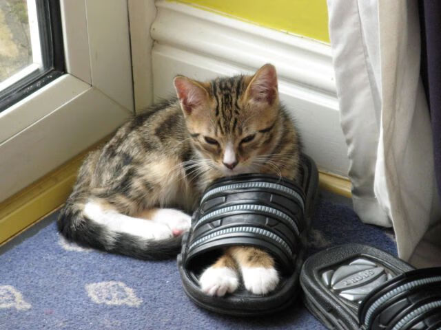 开云平台-篮网军团的铁壁围城，戈贝尔如何成为终结湖人的关键先生