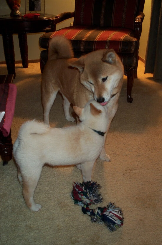 终结十年等待！压哨绝杀！迈阿密从俄克拉荷马城手中抢回冠军希望