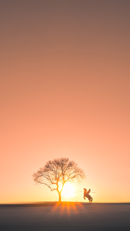 德罗赞化身防守铁闸锁死对手,猛龙力擒黄蜂昂首挺进次轮